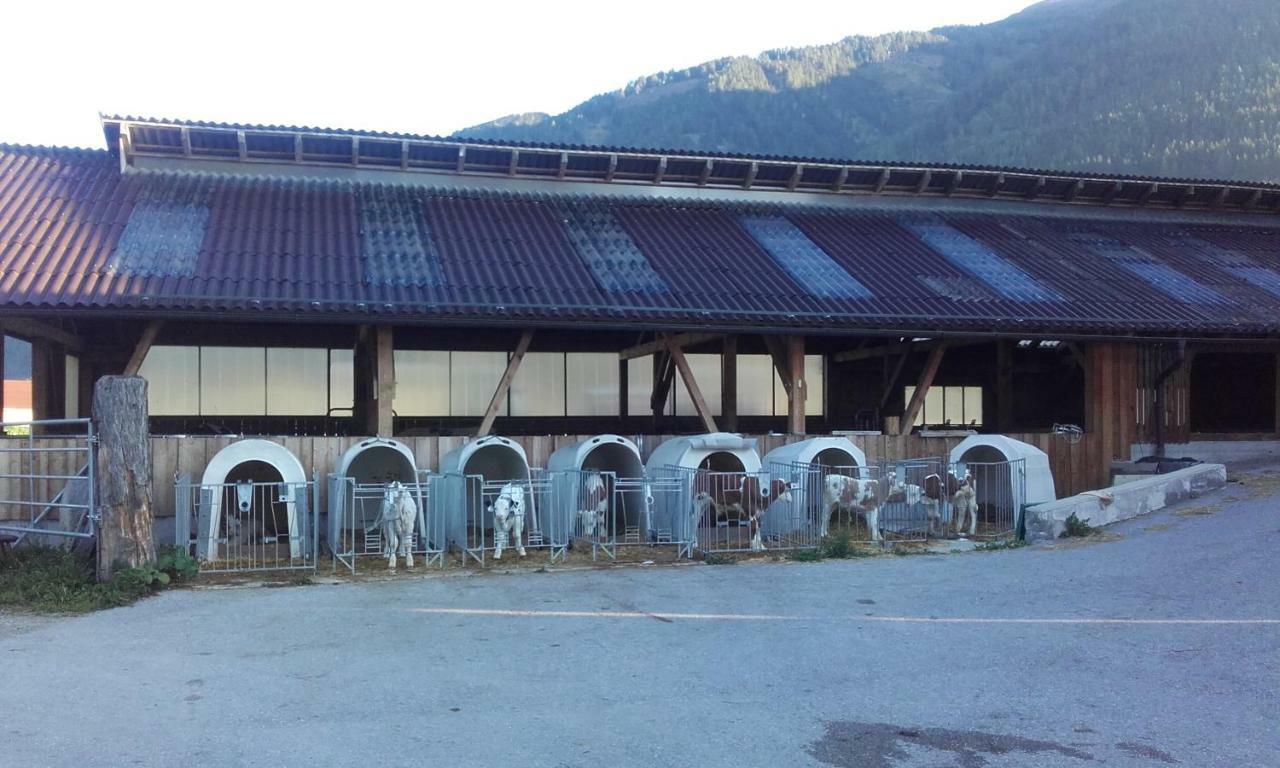 Ferienhaus Reinfrank Sankt Michael im Lungau Εξωτερικό φωτογραφία