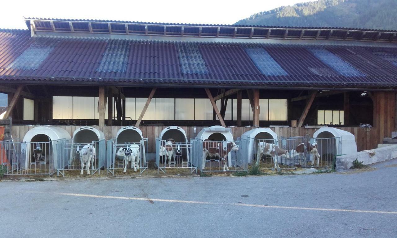 Ferienhaus Reinfrank Sankt Michael im Lungau Εξωτερικό φωτογραφία